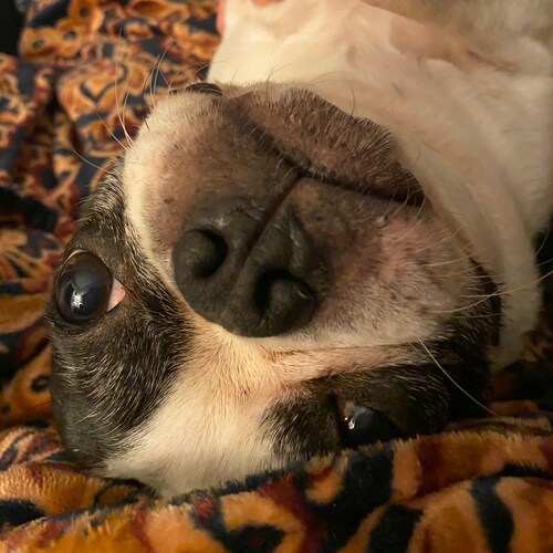 saying things that would get me banned on other platforms