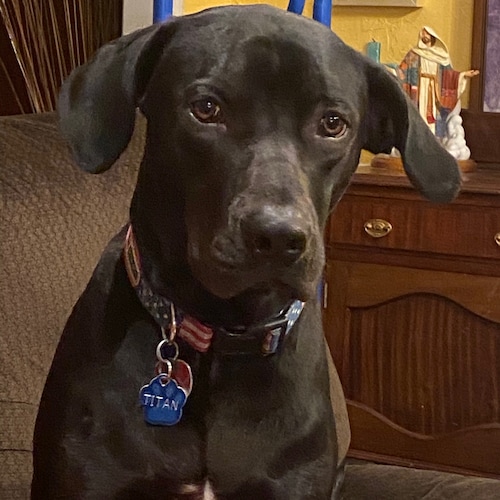 Proud American.  Free Thinker.  “Salty” Sailor