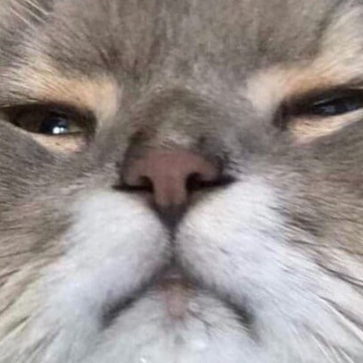 freedom is the greatest good

is ra hell is ass hoe