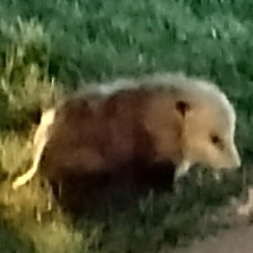 Up from the pavement in my basement to them yellow brick roads. 414. Happily married💍. No DMs.