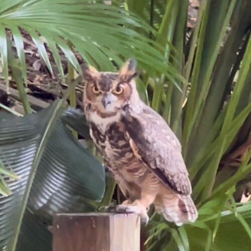 wife, mom, Child of God