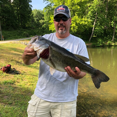 Software Engineer, Navy veteran, 2A, MAGA, conservative father, dedicated fisherman and outdoorsman