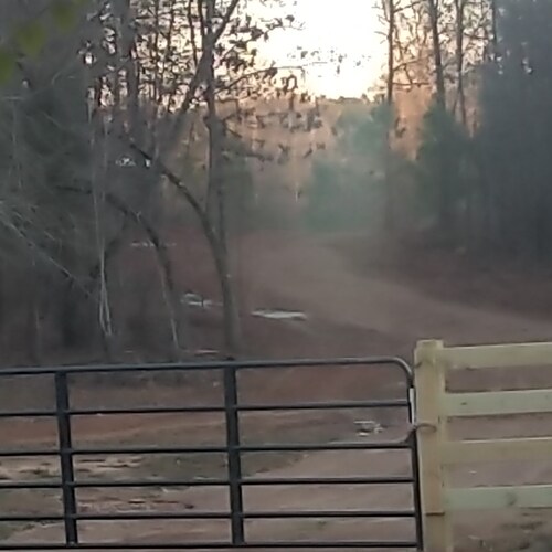 I am the dude playing the dude, who thinks he is another dude.