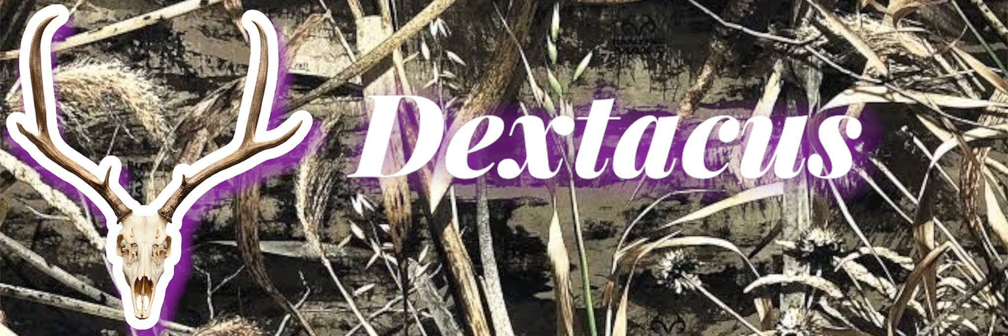 Dextacus ππΊπΈπ