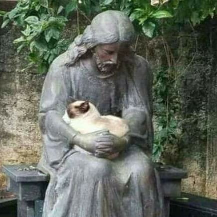 I will die on my feet before I ever live on my knees
your obedience is only prolonging this nightmare
