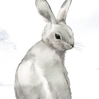 Woman, Wife, Mother, Living in God’s Country