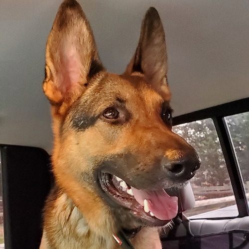 God lovin', guitar strummin', trail runnin', mountain bikin', nutrition cravin', muscle buildin', American patriot. FBAP...