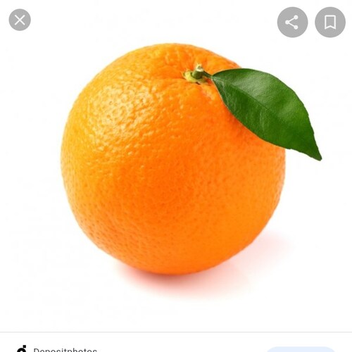 🇺🇲USA🇺🇲
 🇺🇲UNITED WE WIN🇺🇲    
  🇺🇲🇺🇲🇺🇲TRUMP WON🇺🇲🇺🇲🇺🇲