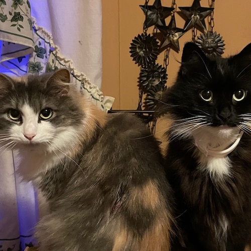 Flying by the seat of my pants…lovin every minute of it!