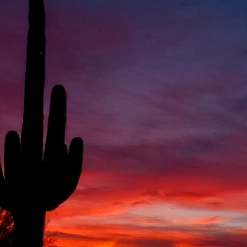 Trump 2024!! America First, 🇺🇸 🇺🇲!!