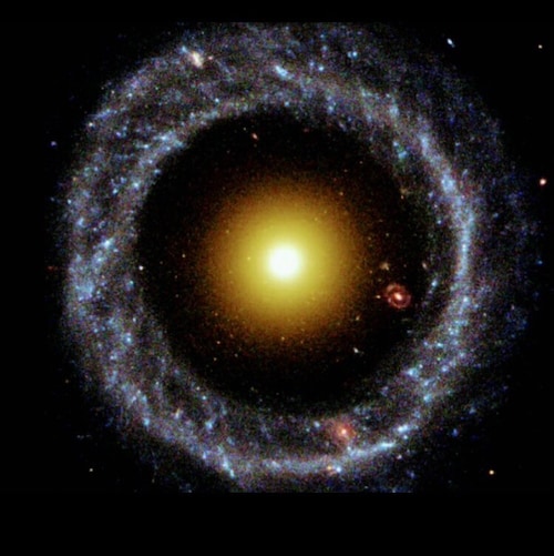 Visit Nick chen's profile on GETTR. View their posts, photos, videos, and connect with them on the social platform.