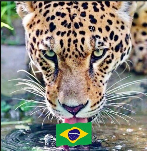 My freedom is no-negotiable ………..!!!!!!!!!!!🇧🇷🇧🇷🇧🇷🇧🇷🇧🇷🇧🇷🇧🇷🇧🇷🇧🇷🇧🇷🇧🇷🇧🇷🇧🇷🇧🇷🇧🇷🇧🇷🇧🇷🇧🇷🇧🇷...