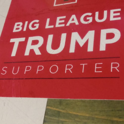 I support TRUMP IN 2024.  100% Pro-Isreal. Muslim is the Bastard Religion.