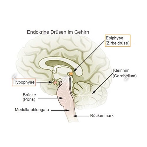 Visit Enkidu2021's profile on GETTR. View their posts, photos, videos, and connect with them on the social platform.