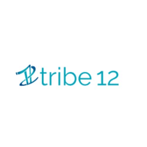 Tribe 12 is all about connecting 20s/30s to Jewish life and community.