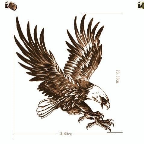 From the late 50's to today the FBI has been actively working with the DNC Mainstream Media & now Social Media. It's tim...