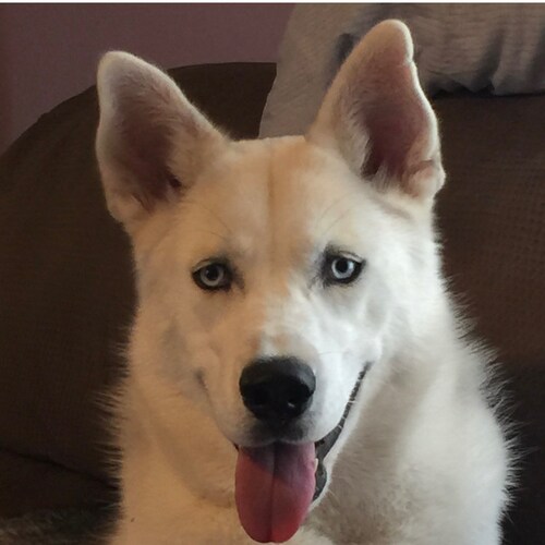 Visit Ctalksalot's profile on GETTR. View their posts, photos, videos, and connect with them on the social platform.