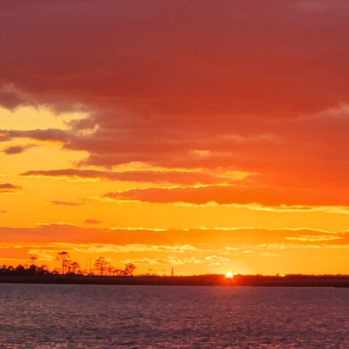 Visit PungoPatriot74's profile on GETTR. View their posts, photos, videos, and connect with them on the social platform.