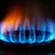 Control Group | Natural Immunity | Prosecute FauXi | Former Fetus