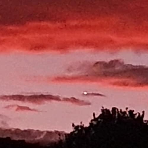 Visit MMMRDMAY's profile on GETTR. View their posts, photos, videos, and connect with them on the social platform.