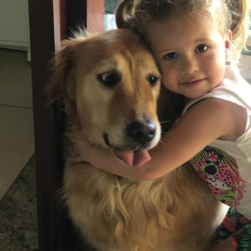 Engenheiro mecânico, aposentado, ex-surfista dos anos 66.