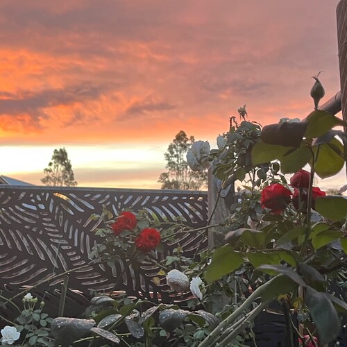 Visit HyperOne's profile on GETTR. View their posts, photos, videos, and connect with them on the social platform.