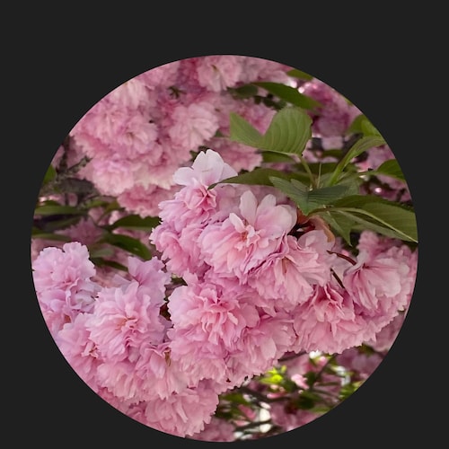 Visit eva挺郭's profile on GETTR. View their posts, photos, videos, and connect with them on the social platform.