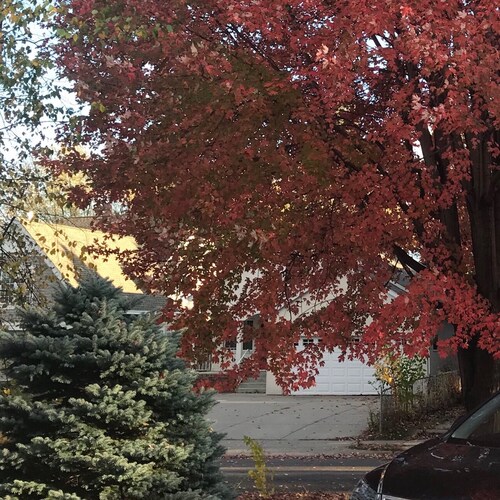 Visit Alex_Y's profile on GETTR. View their posts, photos, videos, and connect with them on the social platform.