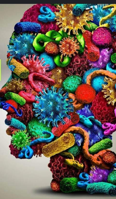 From the inside, no one can infect us. Germs are nothing, the terrain is everything! Viruses and mic...