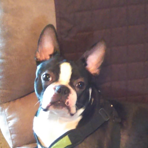 Mom, Patriot, Truth Seeker. War Room Posse. Proud Hobbit.   Trump 2024 🇺🇸