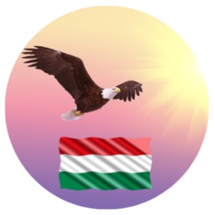 Youtube: https://www.youtube.com/@auswanderungszielungarn
Telegram: https://t.me/Auswanderungsziel_Ungarn