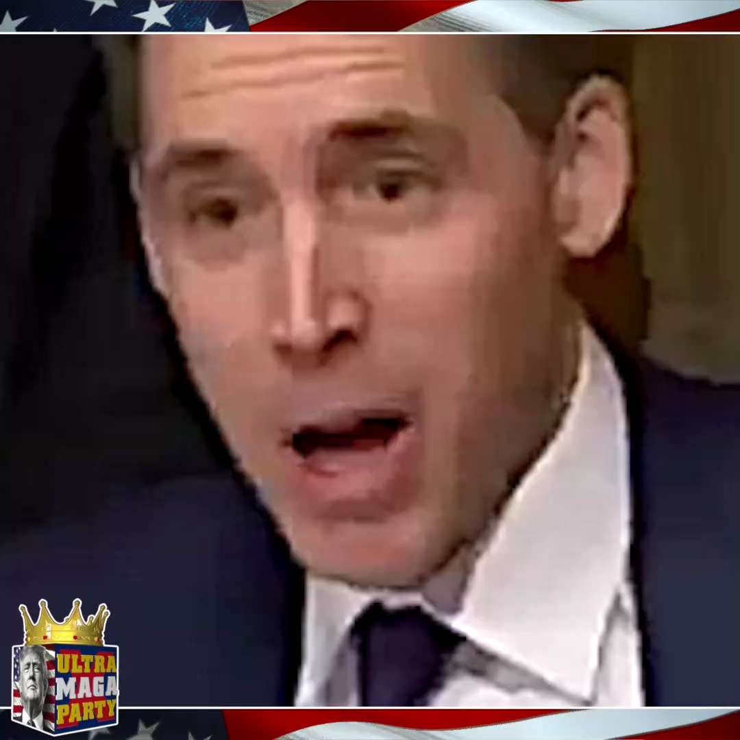 JOSH HAWLEY: I have never seen a witness blatantly LIE UNDER OATH like Dr. Shogan has just done to t...