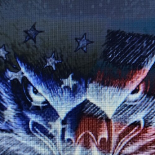 60 year old, mother of five, grandmother to 11. Wife to a retired vet. We are a patriotic family, with stranglers.. We stand for the flag!