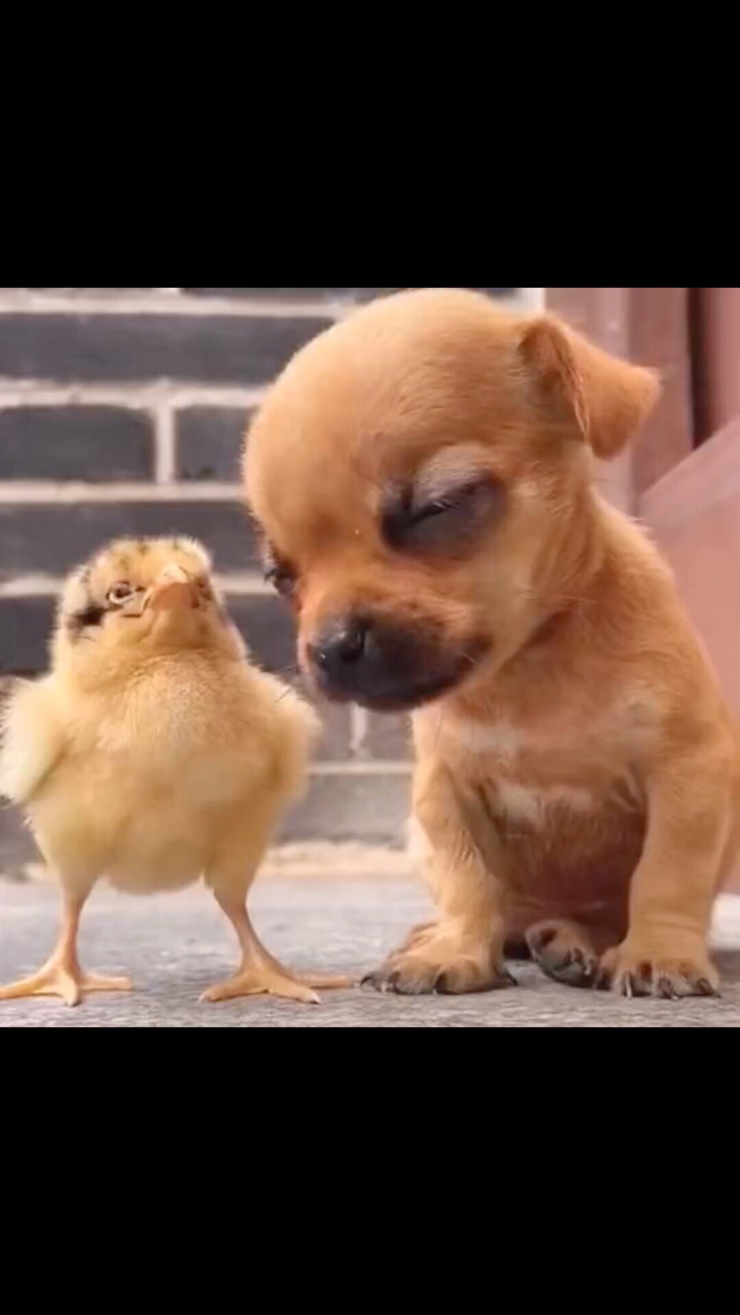 A friend in need is a friend indeed.