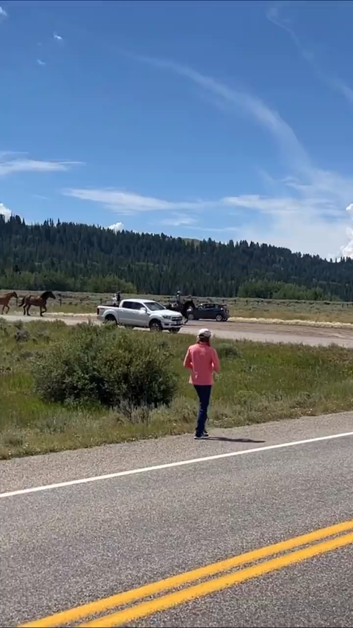☦️🦁⚔ 🆃🆁🅴🅱 ⚔🩸 on GETTR : Triangle X Ranch Grand Tetons, USA