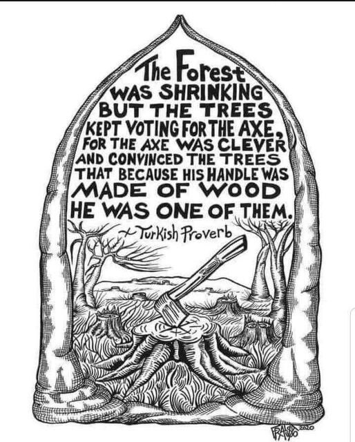 View 286Sunshine's post on GETTR. Join the discussion, share your thoughts, and connect with the community.