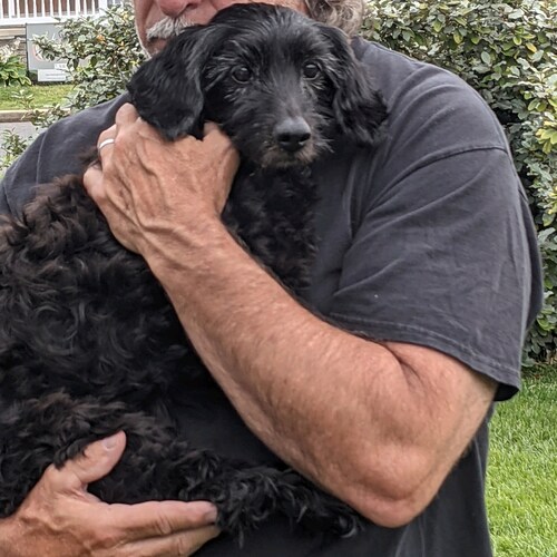 Visit Cambon's profile on GETTR. View their posts, photos, videos, and connect with them on the social platform.