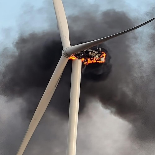 Raised on a farm,so always a farmer.Trucked 45 years. Waiting to be named Trucking Czar.