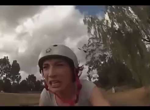 Microchipped Lib riding home from getting another booster! Reeeee 😭