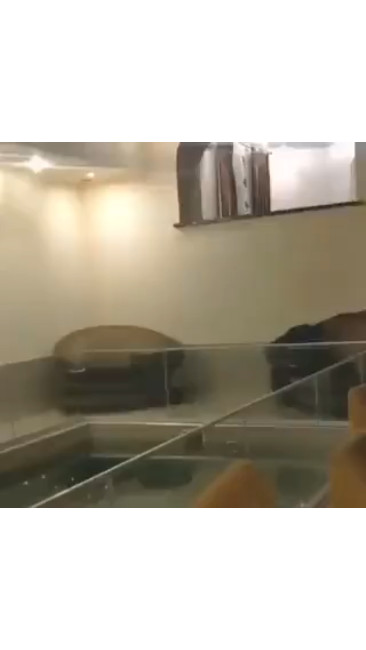 Biden Build Back Better Parkour ... 