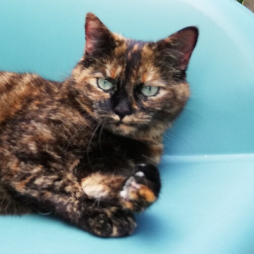 Avant j'aimais bien regarder les films de SF au futur distopique, je les trouve beaucoup moins divertissant maintenant q...