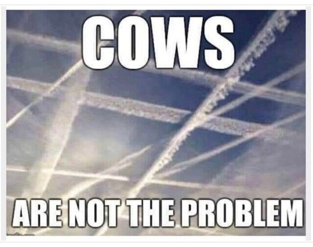 View Carol Hopkins's post on GETTR. Join the discussion, share your thoughts, and connect with the community.