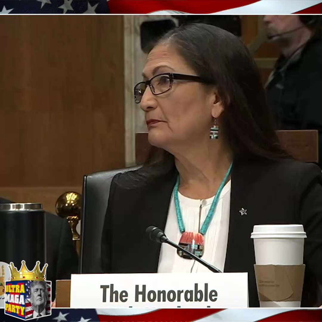 JOSH HAWLEY — "Are you telling me we have TOO MANY JOBS IN THIS COUNTRY?"