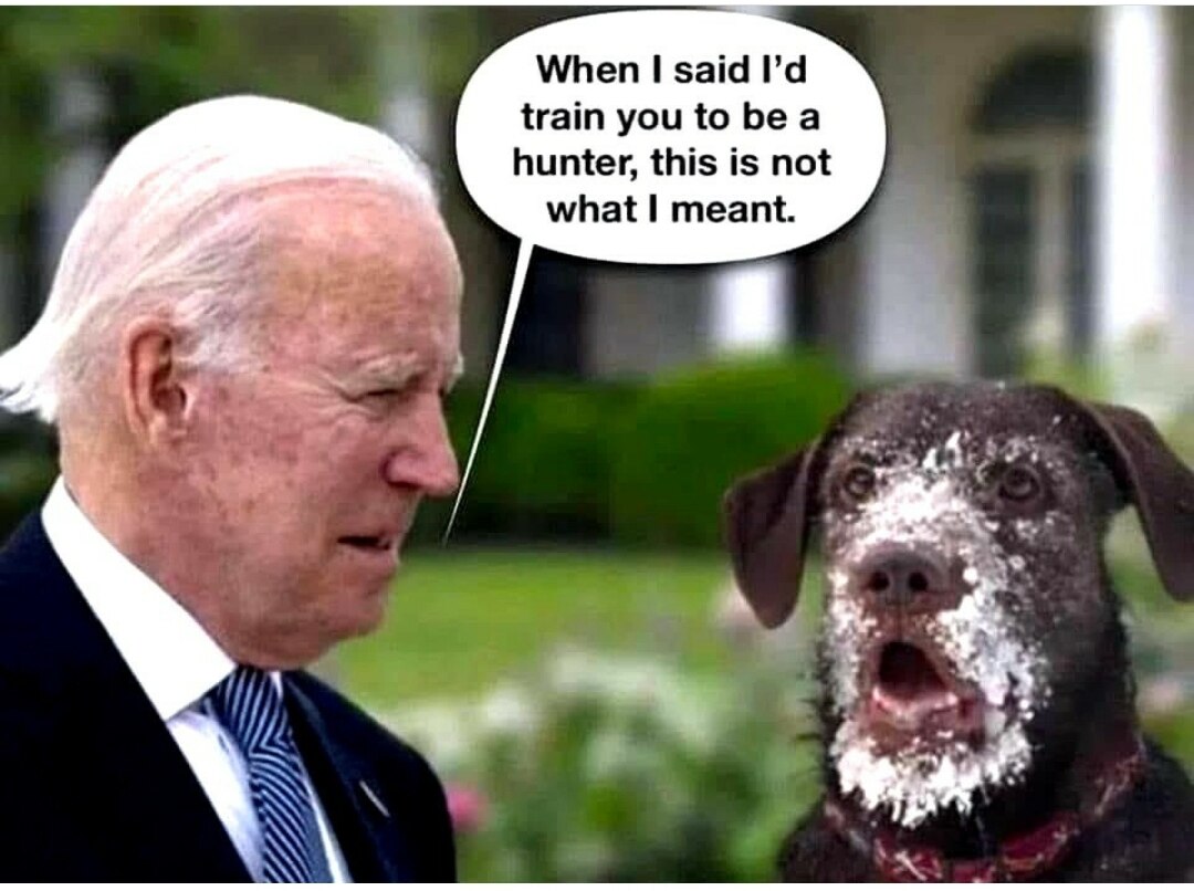 #whitehouse #whitelines