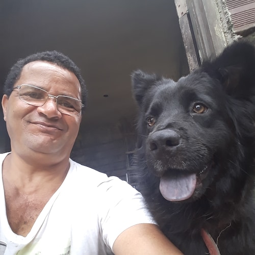 Sigo o vento as vezes levado pelas águas !