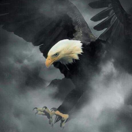 Visit machengyi678's profile on GETTR. View their posts, photos, videos, and connect with them on the social platform.