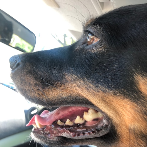 “That government is best which governs least.”    Thomas Jefferson

7th Fleet Navy Signalman, Destroyer Escort 1971-74. ...