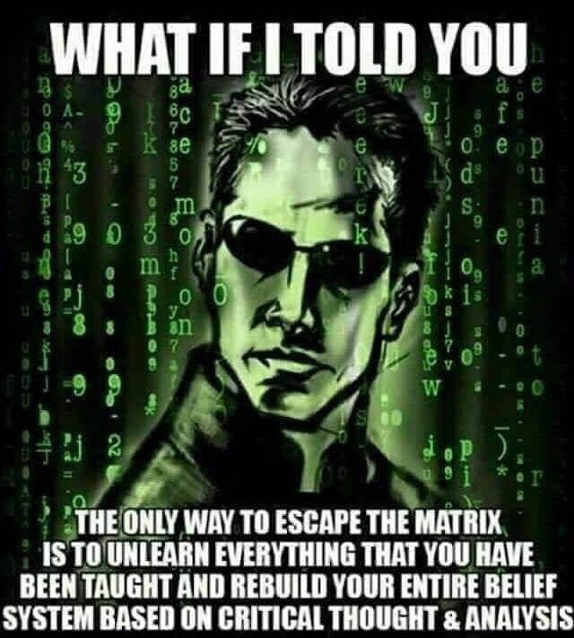  Research research research, research everything to find the truth. That’s what I did for eight year...