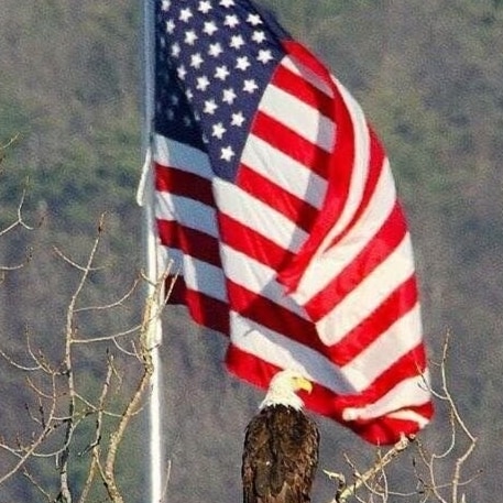 MAGA Patriot. Trump Won. No offense but I ignore DM's and any attempts by anyone to sell me something.