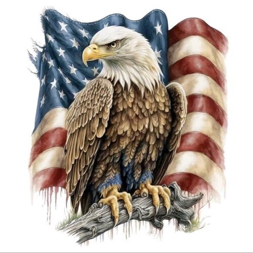 🇺🇸AMERICA 🇺🇸 
🇺🇸🇺🇸FIRST 🇺🇸🇺🇸
I’m a true Conservative to the core.   Believe in Democracy , Freedom of Speech...